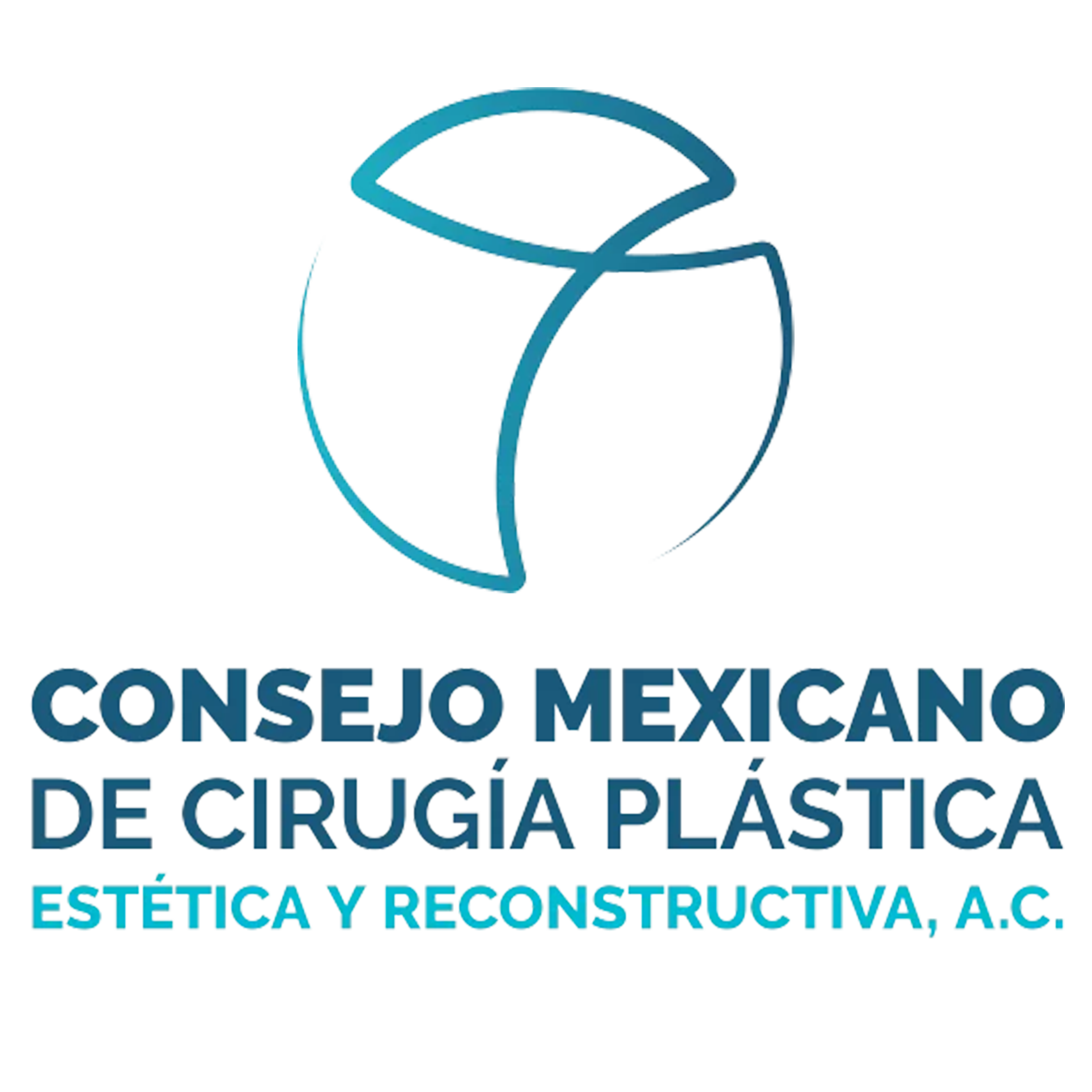 CMCPER